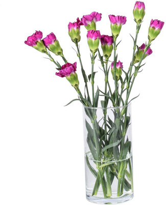 Decent Glass Glass Vase(10 inch, Clear)