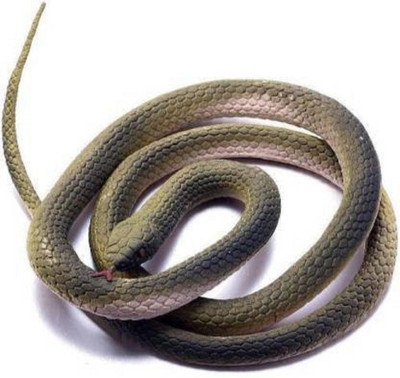 s yuvraj Fake Snake Gig Toy Snake Gag Toy (Multicolor) snake Gag Toy