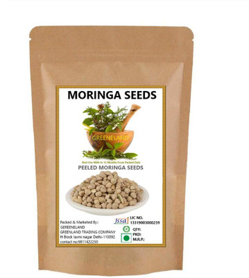 GREENELAND MORINGA SEEDS / BEEJ SOHJANA / MORINGA OLEIFERA / DRUMSTICK SEEDS Seed(50 per packet)