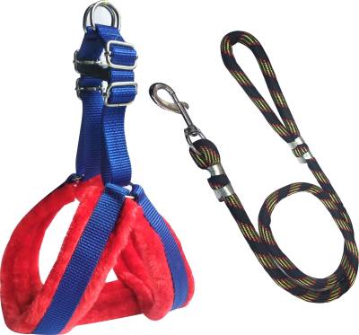BODY BUILDING Dog Belt Combo of 1 inch Red-Blue Feather Padded Dog Body Cross Harness with Black Lead 1.5m lengthy Dog Harness & Leash