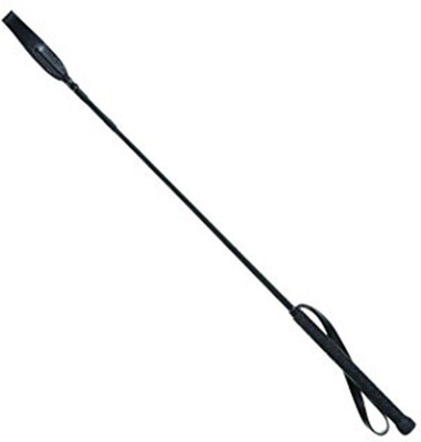 Taiyo Pluss Discovery Pet Training Stick Plastic Stick For Dog