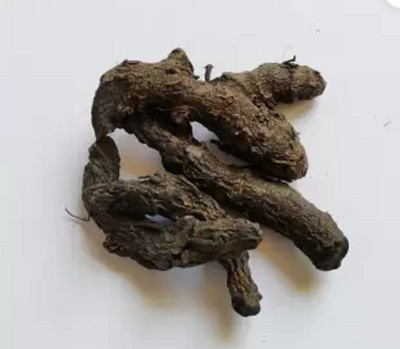 KRITI CREATION Kali haldi Seed(1 per packet)