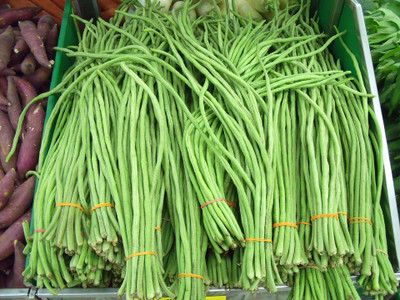 CooPany YARD LONG BEAN / KARAMANI / LONG COWPEA SEEDS 30 Seed(1 per packet)