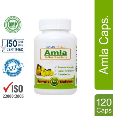 Shivalik Herbals Amla|Boosts Immunity,