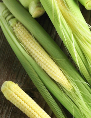 Magnif Exotic Baby Corn HYBRID Advance Seeds - Pack of 15 Seeds F1 HYBRID Seed(1000 per packet)