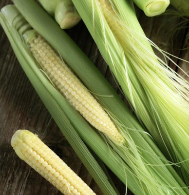 R-DRoz Exotic Baby Corn HYBRID Aone Seeds - Pack of 15 Seeds F1 HYBRID Seed(15 per packet)