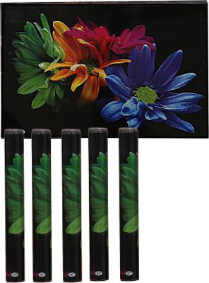 Castle Decor Rectangular Pack of 6 Table Placemat(Black, Multicolor, PVC)