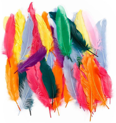 Nimida Natural Dyed Multi-coloured Feathers for Art & Craft / Kids Projects / Jewellery / Dream catcher / Decoration