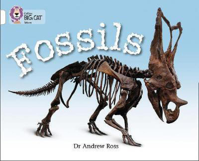 Fossils(English, Paperback, Ross Dr Andrew)