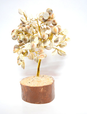 ONRR Collections Feng-Shui Gomti-Chakra Kaudi Tree with quarz chips base for goodluck and wealth Decorative Showpiece  -  14 cm(Shell, Wood, Brown, White)