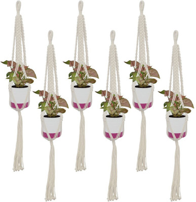 TrustBasket Athena Macrame Hanger Set of 6 Plant Container Set(Pack of 6, Plastic)