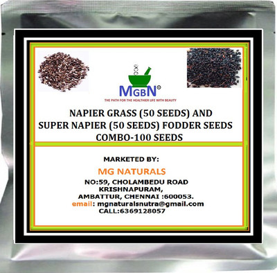 MGBN NAPIER GRASS (50 SEEDS) AND SUPER NAPIER (50 SEEDS)FODDER SEEDS COMBO-100 SEEDS Seed(100 per packet)