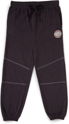 Cub McPaws Track Pant For Boys(Brown, Pack of 1)