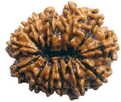 Jaipur Gemstone 13 face rudraksha bead original & natural moksha shiv beads for unisex by Ceylonmine Beads Wood