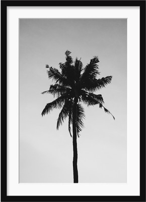 The Tropical Tree GLASS FRAMED POSTER Include MATT Fine Art Print(17 inch X 12 inch, Framed)