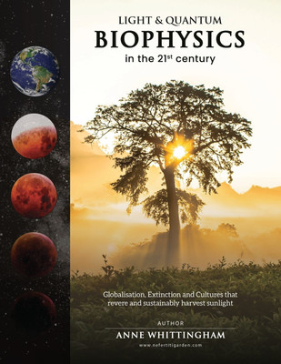 Light and Quantum Biophysics in the 21st Century(English, Paperback, Whittingham Anne E)