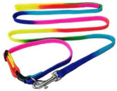 PEDIGONE Good Quality Nylon 1/2 inch Rainbow Color Cat & Puppy Collar Belt/Puppy Belt Dog Collar & Leash(Medium, Multi-Color)