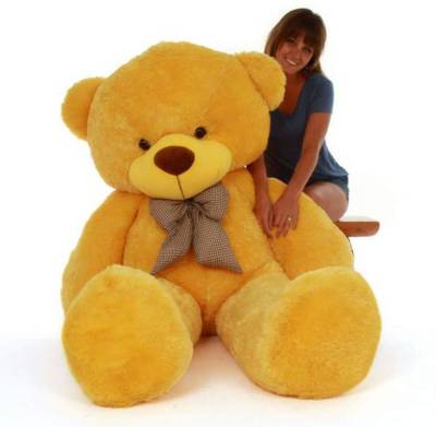 Avs 5 feet teddy bear hotsell