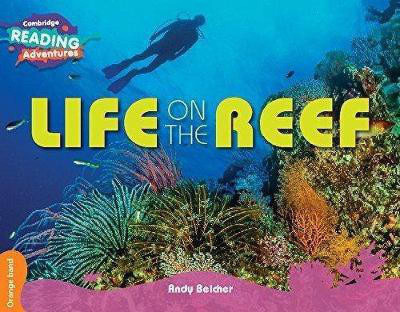 Cambridge Reading Adventures Life on the Reef Orange Band(English, Paperback, Belcher Andy)