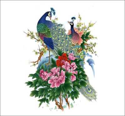 Decor studio 56 cm Beautiful Peocock Wall Sticker ( Cover Area :- 56 X 75 Cm) Reusable Sticker(Pack of 1)