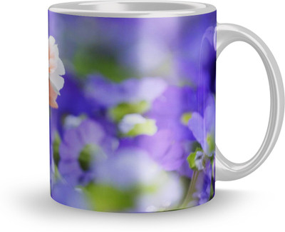 THE SD STORE MUG952 Glass Coffee Mug(320 ml)