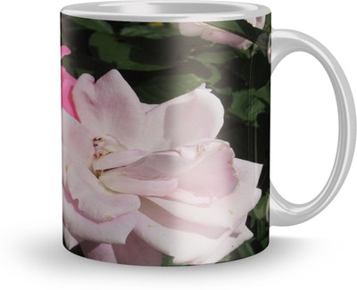 THE SD STORE MUG1159 Glass Coffee Mug(320 ml)