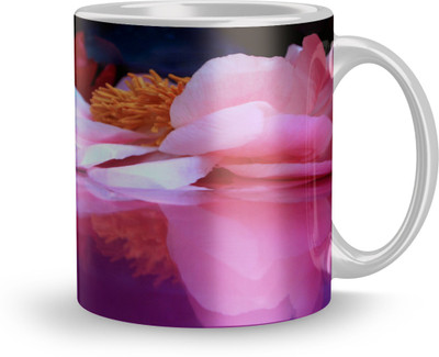 THE SD STORE MUG1140 Glass Coffee Mug(320 ml)