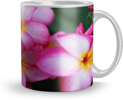 THE SD STORE MUG1145 Ceramic Coffee Mug(320 ml)