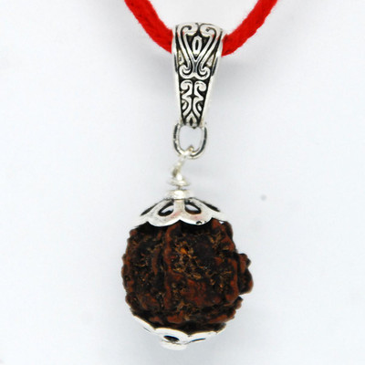 SEN ENTERPRISE 5 Mukhi Rudraksha with Silver Plated Cupping Wood Pendant