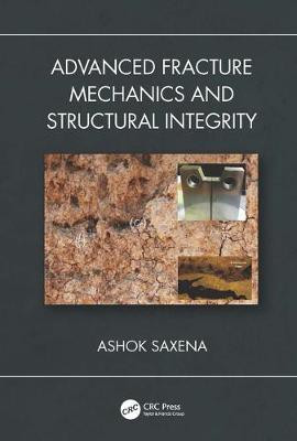 Advanced Fracture Mechanics and Structural Integrity(English, Electronic book text, Saxena Ashok)
