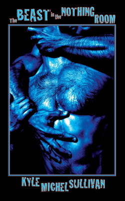 The Beast in the Nothing Room(English, Paperback, Sullivan Kyle Michel)