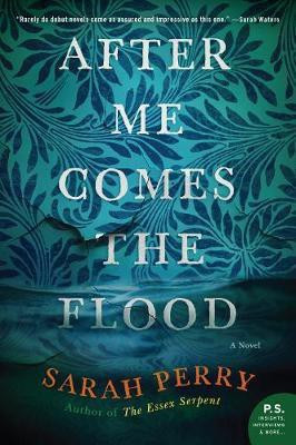 After Me Comes the Flood(English, Paperback, Perry Sarah)
