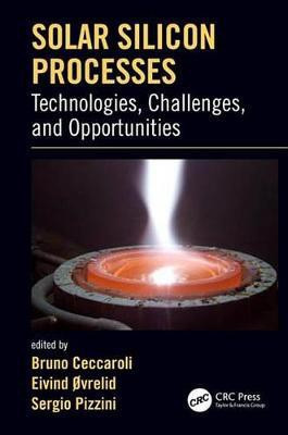Solar Silicon Processes(English, Electronic book text, unknown)