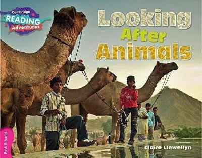 Cambridge Reading Adventures Looking After Animals Pink B Band(English, Paperback, Llewellyn Claire)