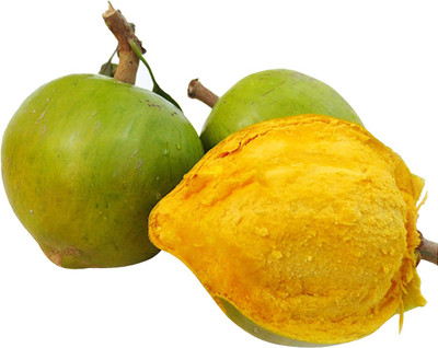 Nema Lucuma Nervosa Egg Yolk Fruit Seeds-10Pcs Seed(10 per packet)
