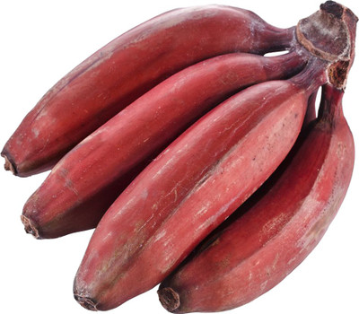 Redoak Rare Red Dwarf Banana Seed(100 per packet)