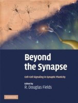 Beyond the Synapse(English, Hardcover, unknown)