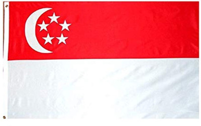 UNIQ Singapore Rectangle Table Miniature Flag(Polyester)