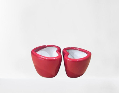 SBC Plant Container Set(Pack of 2, Ceramic)