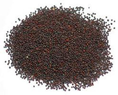 VibeX Broccoli Seed(120 per packet)