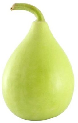 VibeX Bottle Gourd Bulb Seed(20 per packet)