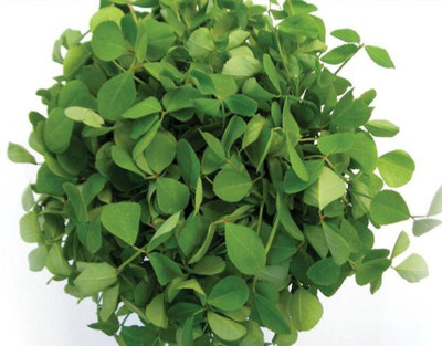 VibeX Methi Seed(200 per packet)
