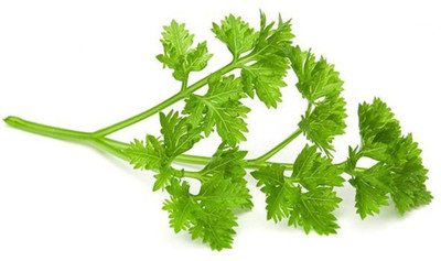 VibeX Parsley Herb Seed(300 per packet)