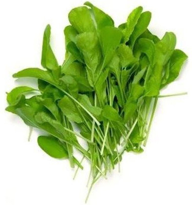 VibeX Spinach Seed(100 per packet)