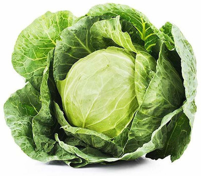 FRESHO VNR fresh cabbage vegetable hybrid Seed(2000 per packet)
