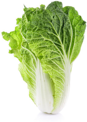 WILLVINE AGRI -II Chinese Cabbage Seeds [50g] Seed(15000 per packet)