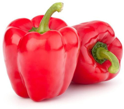 VibeX Red Capsicum Seed(100 per packet)