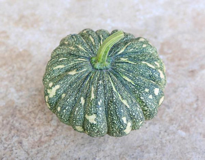 VibeX Pumpkin Seed(20 per packet)
