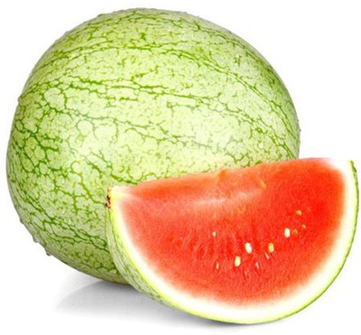 VibeX Green Round Water Melon Seed(20 per packet)