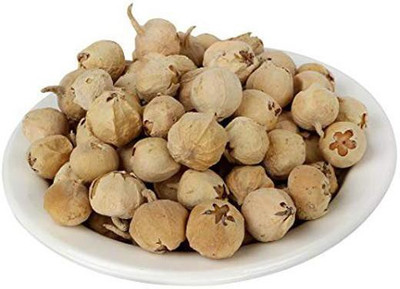 Go Raw PANEER DODI - PANEER DODA - PANEER FRUIT - PANEER PHALS (100g) Seed(500 g)